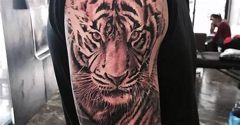 Photo Realistic Tiger By Shine Kim Shine Tattoos In Hongdae Korea Imgur
