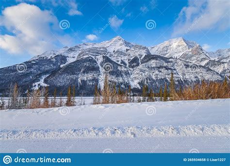 Snow Covered Mountains In Canmore Stock Photo Image Of Pine Wintry