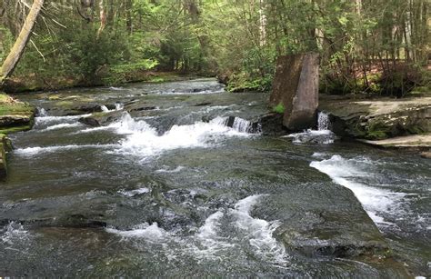 Use our car search or research makes and models with customer reviews, expert reviews, and more. Pennsylvania formally designates 109 more wild trout ...