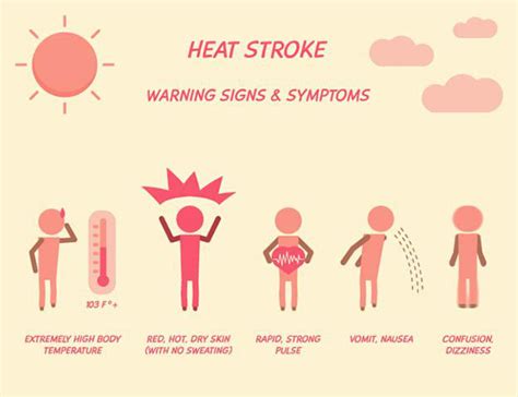 Heat Stroke Causes Symptoms And Precautions Rxdx Healthcare