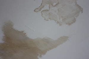 Plus, undiagnosed causes will lead to recurrences. water-stained drywall ceiling | Water stain on ceiling ...