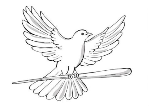 Gambar Sketsa Burung Keren Yang Mudah Dibuat Dan Diwarnai