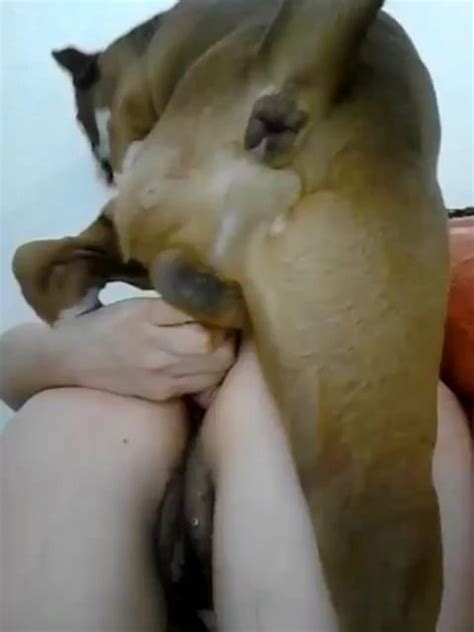 Dog Asshole Twitches When It Orgasms After Fucking A