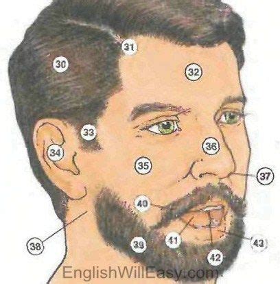 Some also incorporate a feature for tagging photos to identify the names of people. Pin on English tools