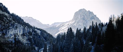 Download Wallpaper 2560x1080 Mountains Trees Spruce Snow Sky Dual