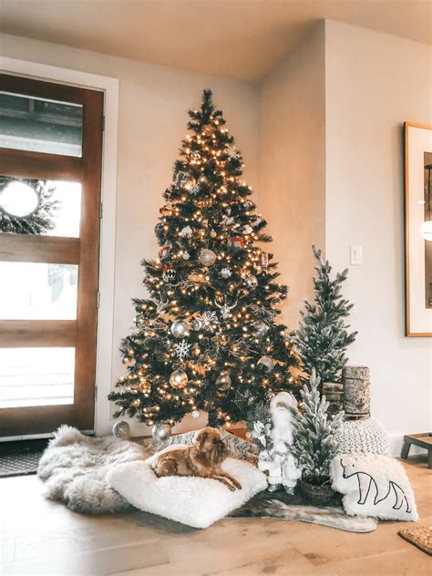 The Best Dog Gift Ideas for your Furry Friend | Gift Guides | Dressed