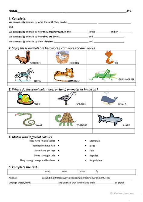 You can use these worksheets as warmups before class starts, homework assignments, or additions to your lesson plan. Science worksheet - Free ESL printable worksheets made by ...