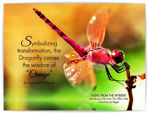 128 Best Dragonflysdeep Meaning Of Life Images On Pinterest Dragon