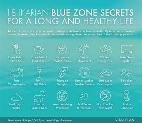 Blue Zone Secrets For A Long And Healthy Life Vital Plan The