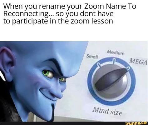 When You Rename Your Zoom Name To Reconnecting So You Dont Have To