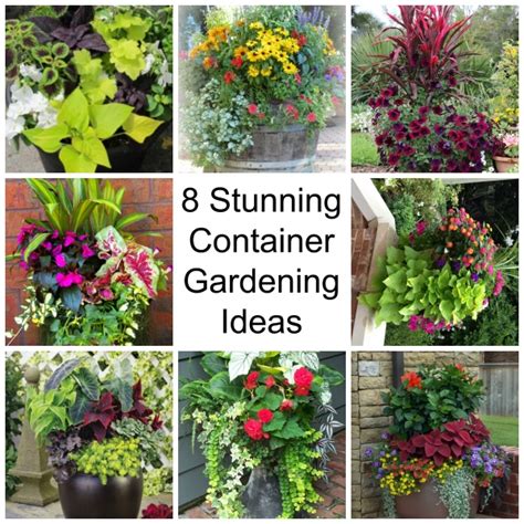 8 Stunning Container Gardening Ideas Home And Garden