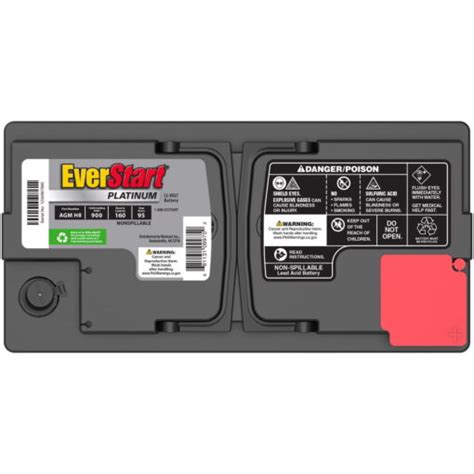Everstart Platinum Boxed Agm Battery Group Size H8 12v 900 Cca