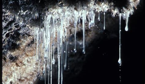 Explore Strange Caves Inews