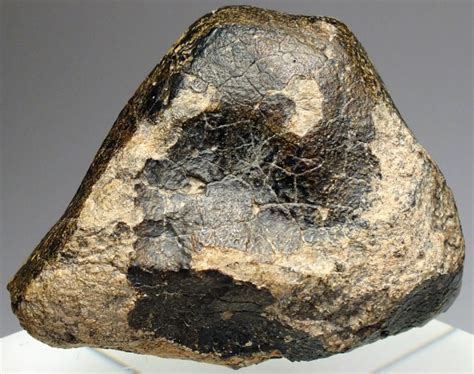 Dhofar 007 石質隕石euc 158 96g 株式会社エヌズミネラル ｜｜鉱物標本・隕石標本の販売・通販
