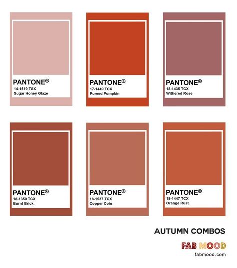 Pantone Colour Palettes Pantone Palette Orange