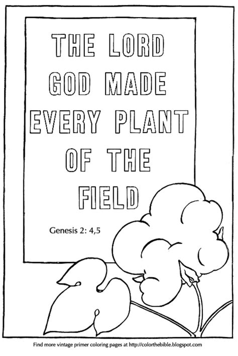 God Made Every Plant Primer Coloring Page Color The Bible