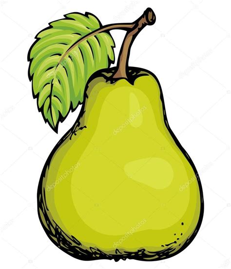Pear Vector Drawing — Stock Vector © Marinka 116971714