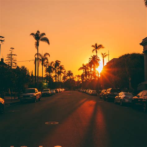 Street Sunset Palm Trees Road Road Signs Cars 4k 4k Wallpapers 40000 Ipad Wallpapers
