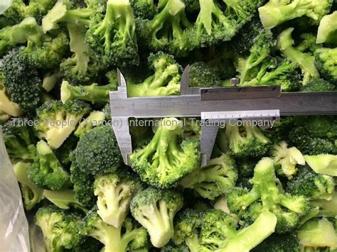 Processing is being executed by the most modern techniques to preserve its good shape and length. Frozen Broccoli from China Fujian , Frozen Broccoli ...