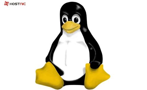 Mostly tools to work with smartphones. Windows menambahkan kernel linux pada WSL2 ??? - Hostnic.id