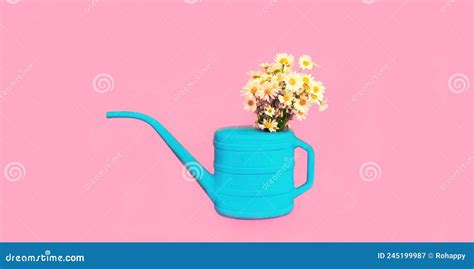 Blue Watering Can With Flowers On Pink Background Gardening Concept