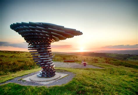 Mybestplace Singing Ringing Tree The Tree That Sings With The