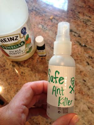 1 tb witch hazel or vodka (this helps disperse the oil). All Natural Ant Killer: 5 All Natural Ways to Rid Your ...