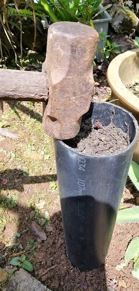 Simpan pokok makan bunga berarti mendapat keuntungan dari pokok modal yang terus menerus ditambah secara konstan. Tanam Pokok Dalam Paip PVC, Cantik Pun Cantik & Murah Lagi ...