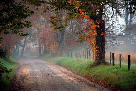 Autumn Lane Country Roads Landscape Autumn Scenery
