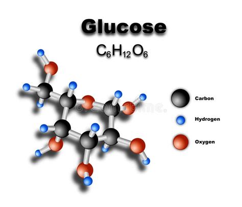 Glukose Chemische Strukturformel Und Modell Des Molekls C6h12o6 Vektor