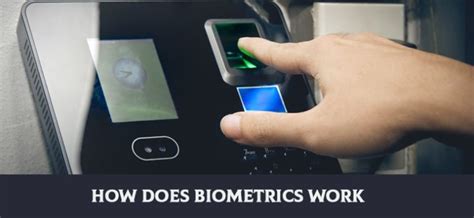 What You Should Know About Biometrics Security And How It Woks