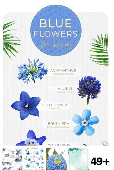 49 Blue Flowers Meanings Ideasblue Flowers Ideas Meanings In 2020