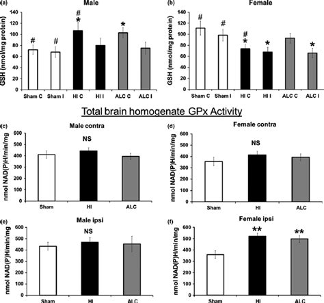 Sex Differences In Glutathione Antioxidant Defense Capacity Reduced Download Scientific