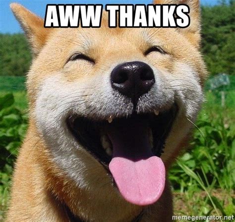 Aww Thanks Happy Dog Face Meme Generator