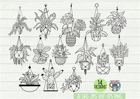 Hanging Plants Svg Potted Plants Svg Houseplants Svg Plant Etsy