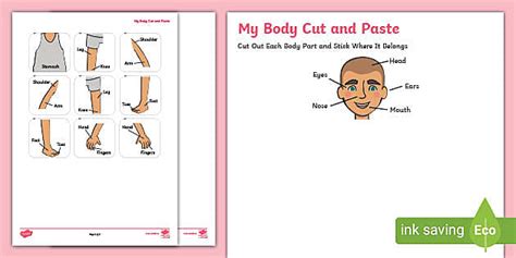 Cut And Paste Body Parts Worksheet