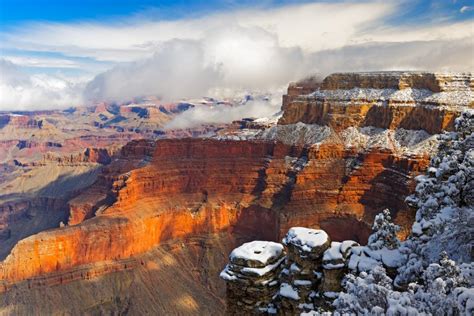 Grand Canyon Snow Shutterbug