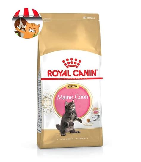 We did not find results for: Jual Royal Canin Kitten Maine Coon 36 - 2kg - Makanan Anak ...