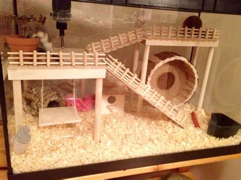 Top 10 Cages For Hamster Hamsters Portal