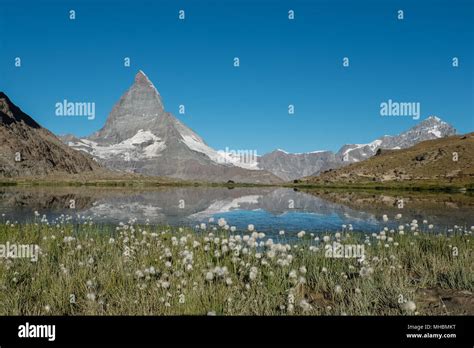 View On Cotton Grass And Matterhorn Reflected In Lake Riffelsee Near