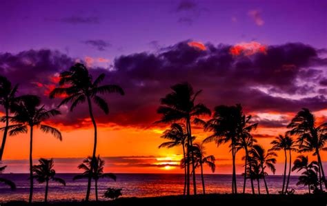 Hawaiian Sunset Amazing Wallpapers