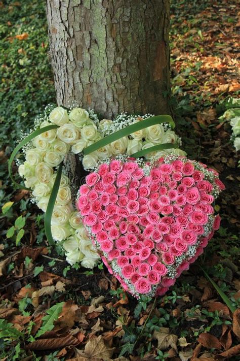 Heart Shaped Sympathy Flowers Stock Image Image Of