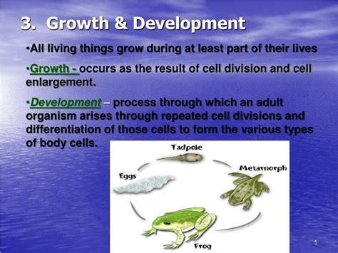 Ppt Introduction To Biology Powerpoint Presentation Free Download