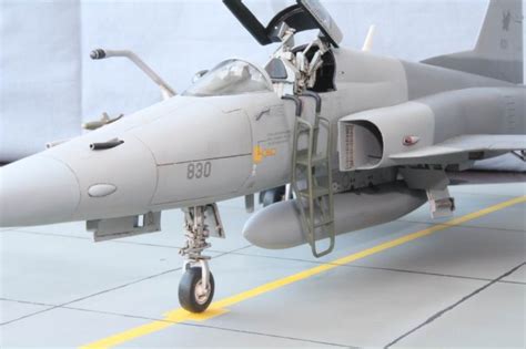 The new kittyhawk 1/32 f5e tiger ii,,aggressor sqdn this is an amazing kit, super detailed, and quite cheap. 1/32 Kangnam RSAF F-5S by Leslie Choy