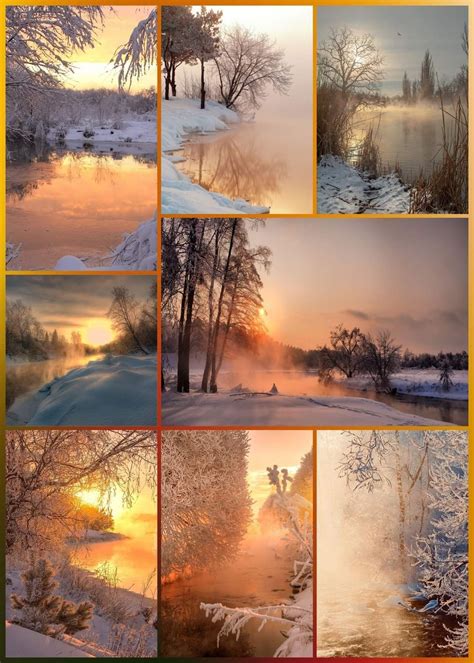 A Collage Of Photos With Trees And Water In The Snow At Sunset Or Dawn