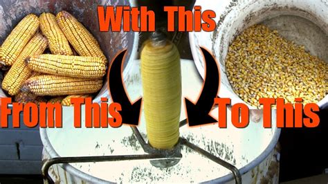 A Homemade Corn Sheller Quick And Easy Ear Corn To Shelled Corn