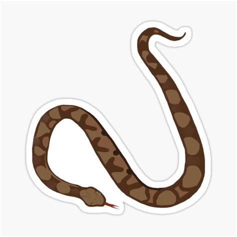 Copperhead Snake Design Sticker For Sale By Wildlifeandlove Redbubble