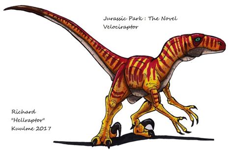 Jurassic Park Novel Velociraptor By Hellraptor Velociraptor