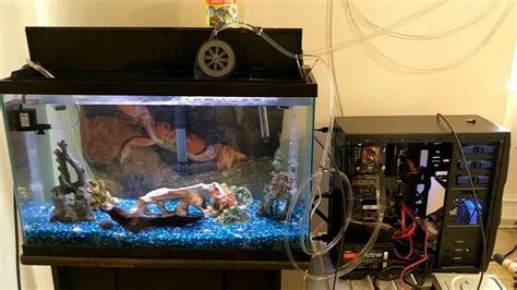 Friends Custom Water Cooled Pc Fish Tank Heater Rpcmasterrace