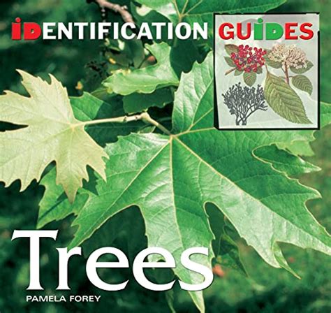trees identification guide identification guides forey pamela 9781844518555 abebooks